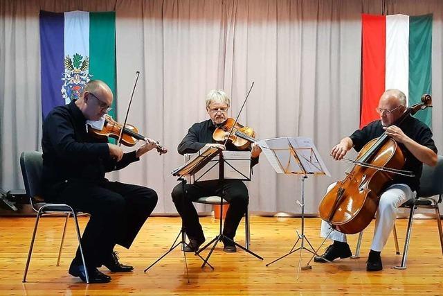 Offenburger Streichtrio spielt rare ungarische Musik: Auf die richtige 