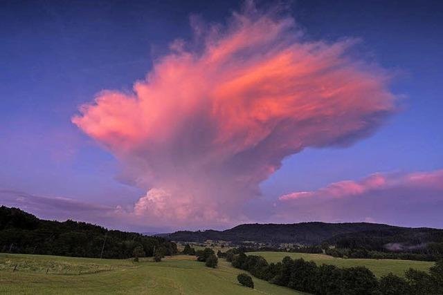 Rosa Wolkenpilz nach Gewitter bei Waldshut