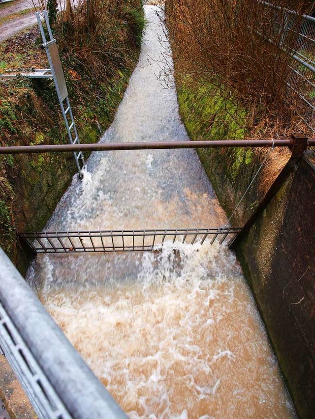 Wild kommt das Wasser des Dorfbachs Br...dolung Richtung Wiese zu verschwinden.  | Foto: Paul Schleer