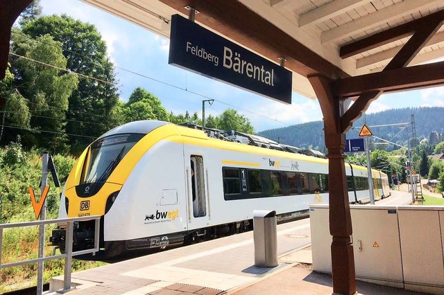 Zwischen Brental und Titisee ist Gerll auf die Gleise gerutscht.  | Foto: Brigitte Sasse