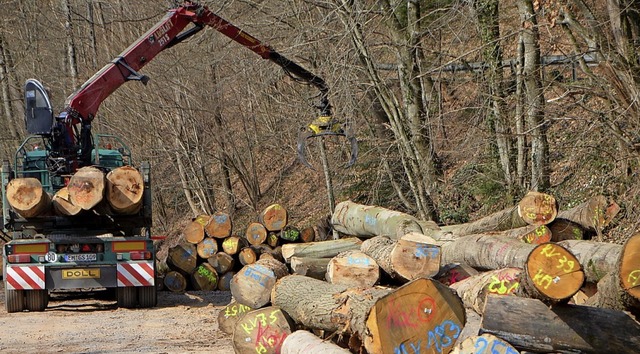 Der Emmendinger Stadtwald ist nicht nu... im laufenden Betriebsplan fr 2021.    | Foto: Gerhard Walser