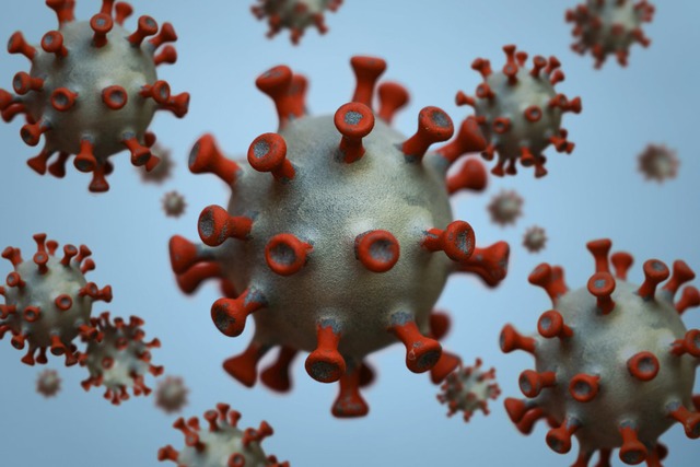 Acht der insgesamt 33 Flle von Virus-... Zell und ihren Ortsteilen zuzuordnen.  | Foto: Peter Endig (dpa)