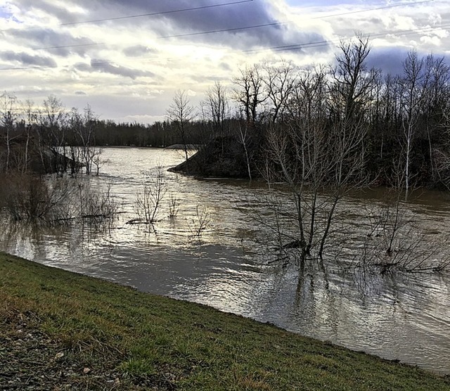 Das Hochwasser luft wie gewnscht in die Rckhalterume.  | Foto: Regierungsprsidium Freiburg