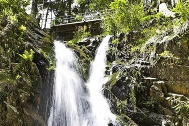 Genieerpfad Wasserfallsteig