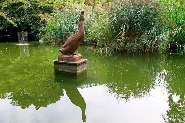 Der Erpel im Teich im Stadtgarten (Archivfoto)  | Foto: Rita Eggstein