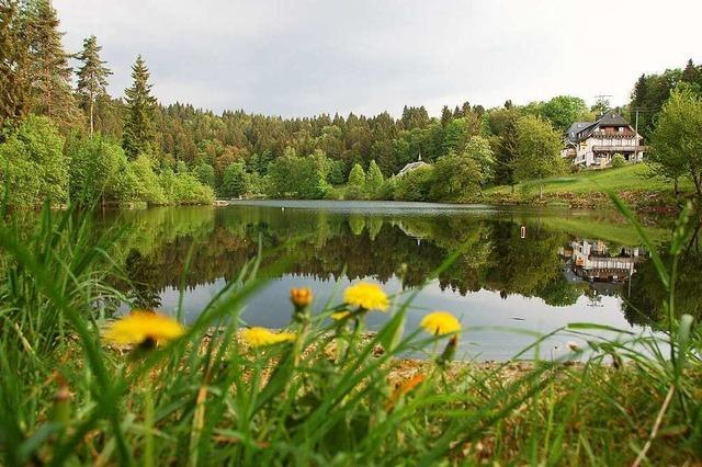 Klosterweiher