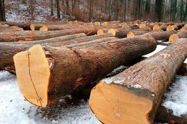 Holzverkauf im Landkreis knackt Mengenrekord