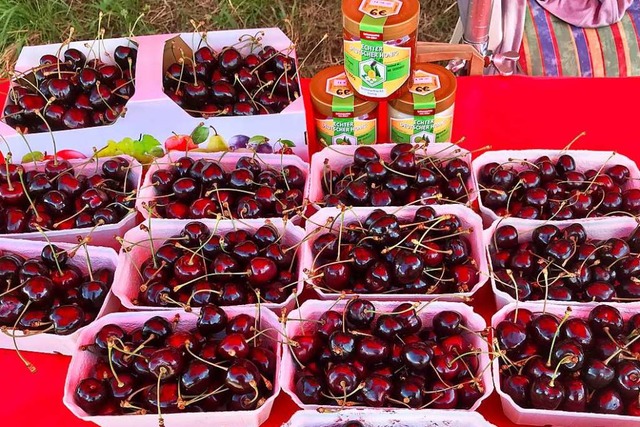 Bei den Kirschen gab es 2020 wegen des Frühjahrsfrostes große Ausfälle. | Foto: Jutta Schütz Bei den Kirschen gab es 2020 wegen des Frühjahrsfrostes große Ausfälle. | Foto: Jutta Schütz