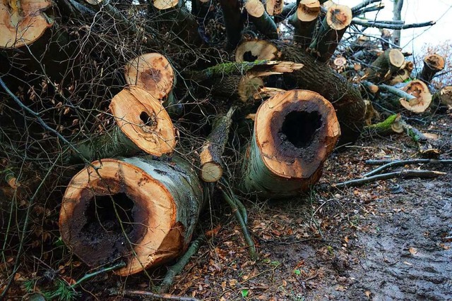 Gefllte Bume in Ettenheim  | Foto: Sandra Decoux-Kone