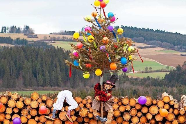 Fotos: Christbume leben als Narrenbume weiter