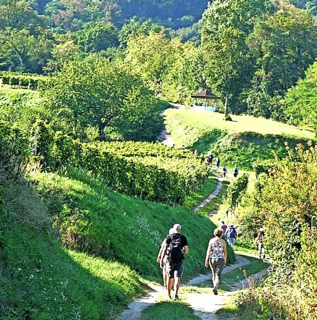 Gemeinsam macht Wandern besonders  Spa.  | Foto: Dorothee Zart