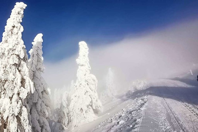 Traumhafte Erlebnisse sind am Feldberg...f gewalzten Winterwanderwegen mglich.  | Foto: Achim Laber