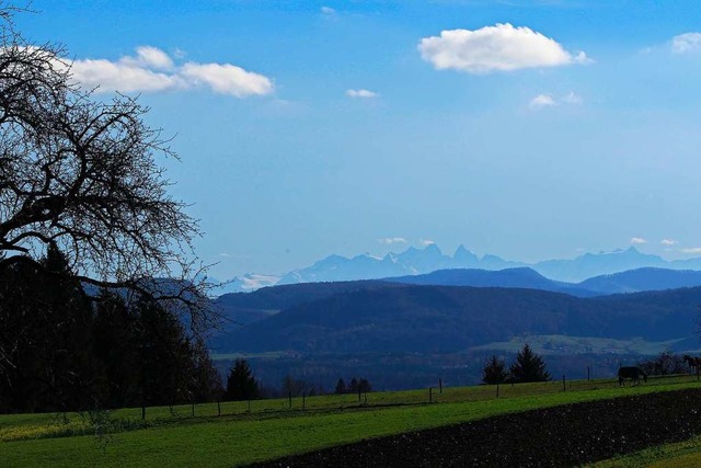 Ein fast wolkenloser Himmel bietet freie Sicht auf die Alpen  | Foto: Thea Pflger