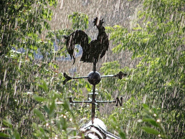 Der Wetterhahn hat seinen Dienst im Regen getan  | Foto: Renate Hugenschmidt