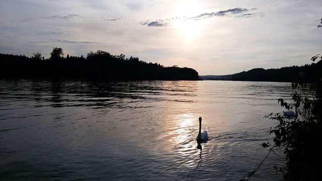 Die letzten Sonnenstrahlen spiegeln sich im Rhein  | Foto: Roswitha Rhein