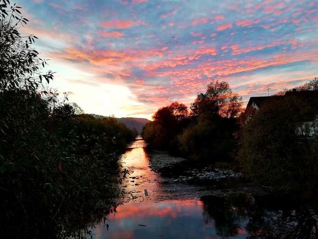 Die Aufnahme wurde auf Steinens Wiesebrcke gemacht  | Foto: Roswitha Rhein