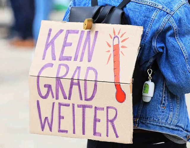 Ein Aktivist der Klimaschutzbewegung Fridays for Future  | Foto: Peter Gercke