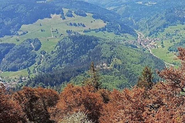 Vor 50 Jahren bahnte sich im Kleinen Wiesental die Grndung eines Verwaltungsverbands an