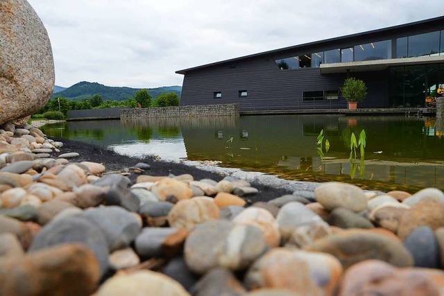 Der See am Kultur- und Brgerhaus ist Sorgenkind der Gemeinde Denzlingen.  | Foto: Max Schuler