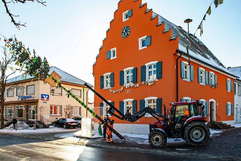In Gottenheim wurde der Narrenbaum mit Hilfe der Bauhofmitarbeiter aufgestellt. (Foto: Hubert Gemmert) In Gottenheim wurde der Narrenbaum mit Hilfe der Bauhofmitarbeiter aufgestellt. (Foto: Hubert Gemmert)