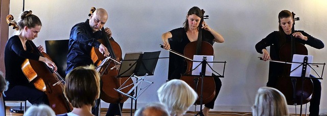 Der Cellist und knstlerische Leiter D...rbestand der  Schlosskonzerte Beuggen.  | Foto: Roswitha Frey