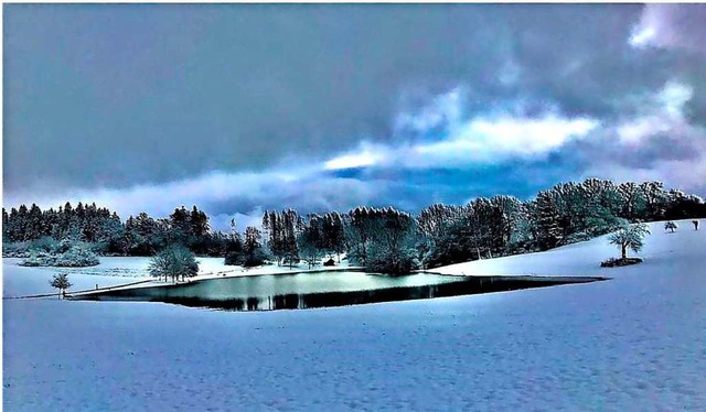 Neuschnee auf dem Eichener See.  | Foto: Helmut Pordzik