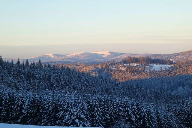 Die Bume im  Hochschwarzwald stehen s...morgens von  Schollach  zum Feldberg.   | Foto: Peter Stellmach