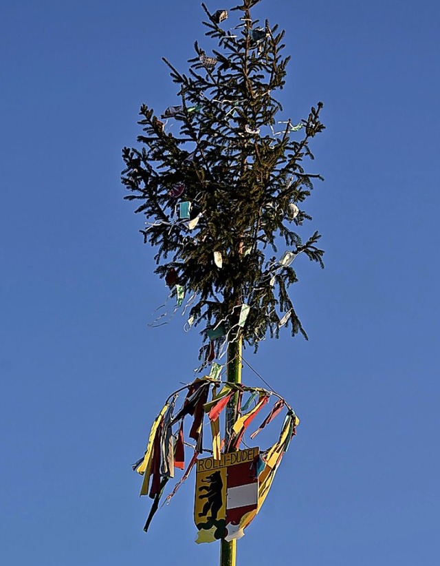 Die Narren in Wyhlen haben den Narrenbaum aufgestellt.  | Foto: Heinz und Monika Vollmar