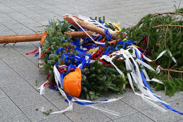 2019 strzte der Narrenbaum in Rheinfelden um.  | Foto: Ingrid Bhm-Jacob