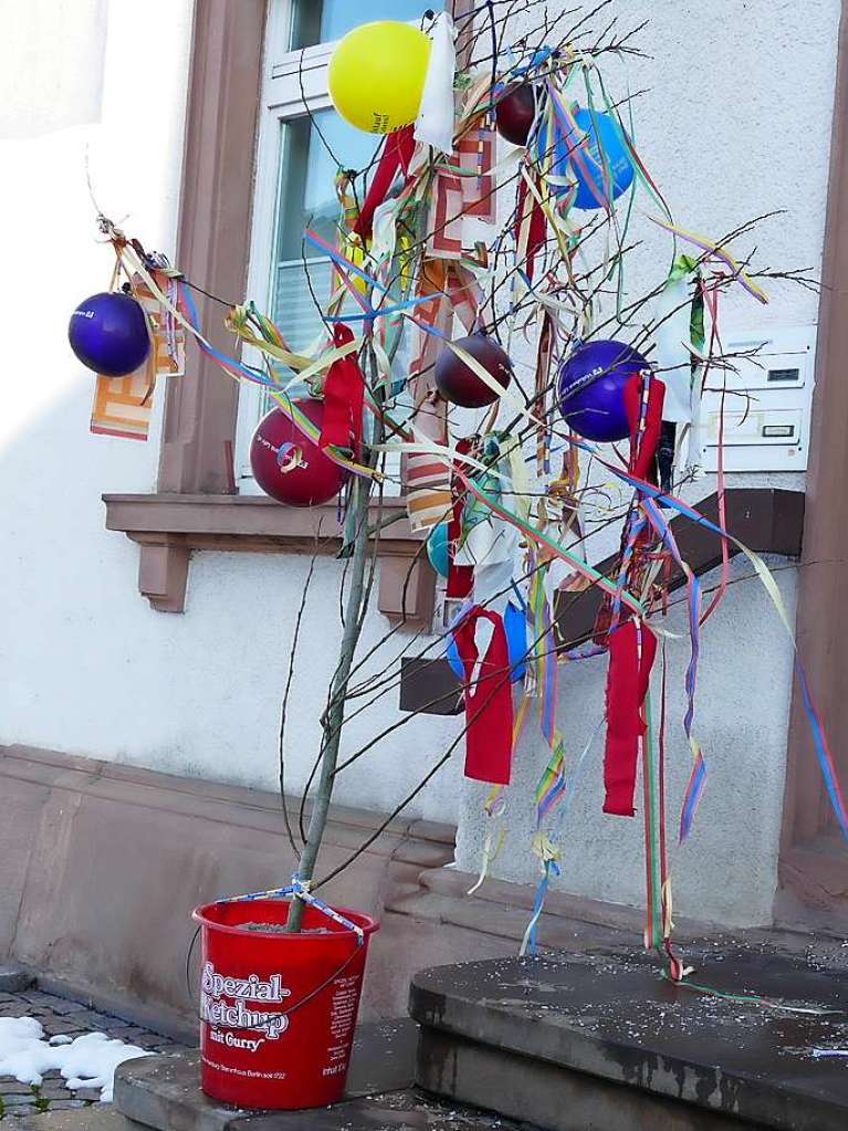 Miniaturnarrenbaum auf der Treppe des Ichenheim Rathauses