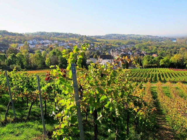 Der Weinbau prgt das Markgrflerland ...m Tourismusmarketing zu wenig genutzt.  | Foto: Jutta Schtz