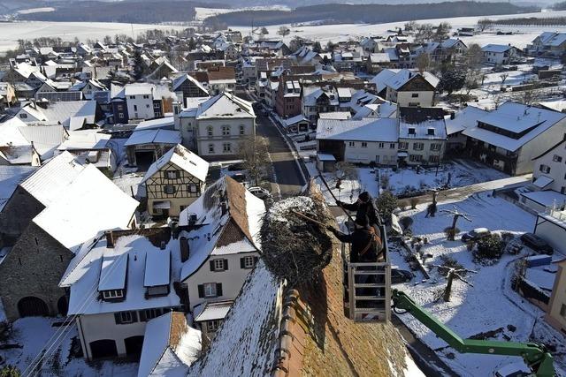 Frhjahrsputz am Storchennest