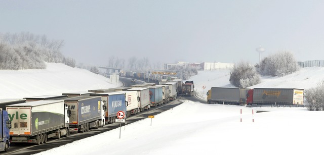 Lastwagen stauen sich am Montag auf de...chien an der Grenze nach Deutschland.   | Foto: Petr David Josek