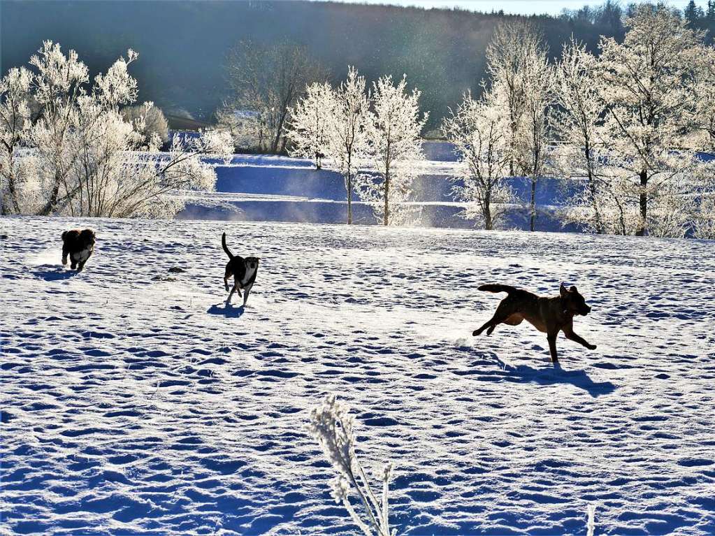 Winterfreude im Schnee