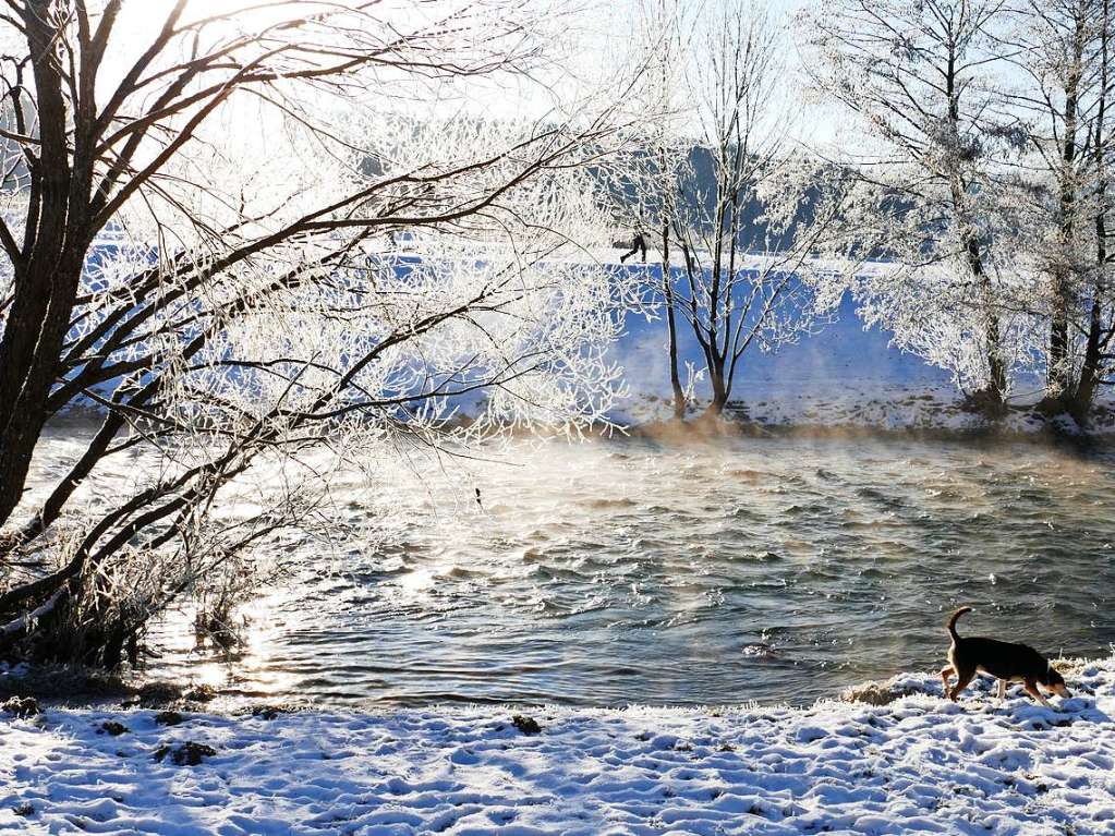 Frost und Klte verzaubern die Landschaft,