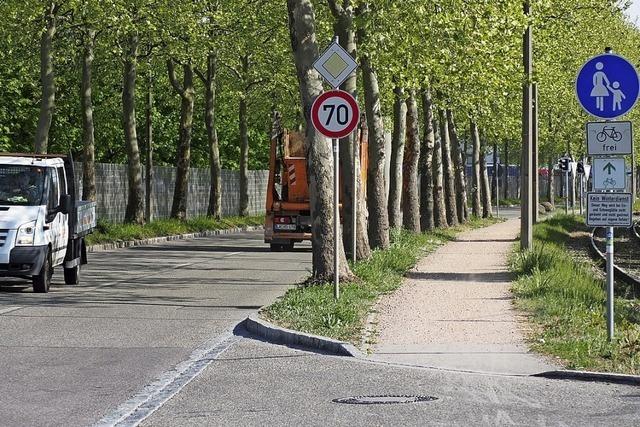 Ortschaftsrat Haltingen gibt grnes Licht fr Radweg-Ausbau