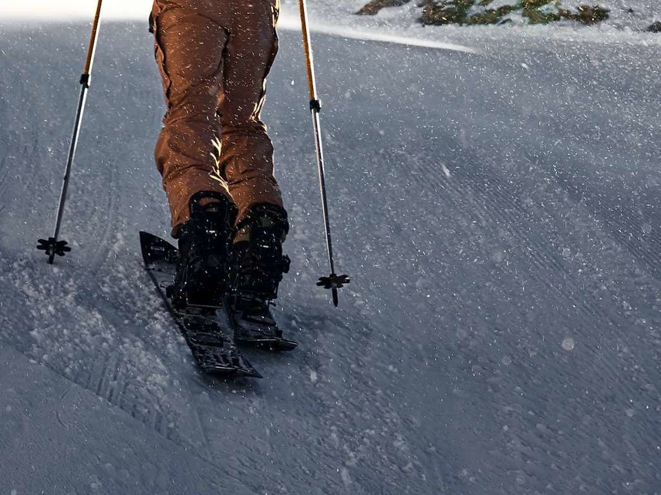 Beim Aufstieg sehen Splitboards aus wie Tourenski  | Foto: Fabio Geiger