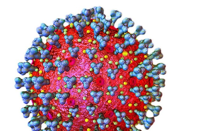 Das Virus, das die Welt verndert &#82... Grafik einer mikroskopischen Ansicht.  | Foto: via www.imago-images.de