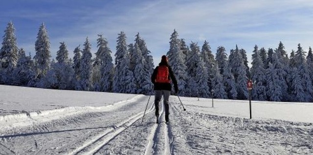 Skilanglauf hat in diesem auergewhnl...hwarzwald viele neue Freunde gewonnen.  | Foto: Anita Fertl