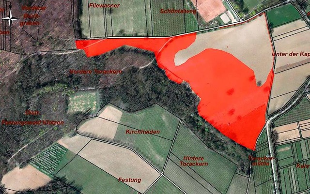 Das rot markierte Gebiet  im Gewann &#...systematisch  nach Granaten abgesucht.  | Foto: Gemeinde Efringen-Kirchen