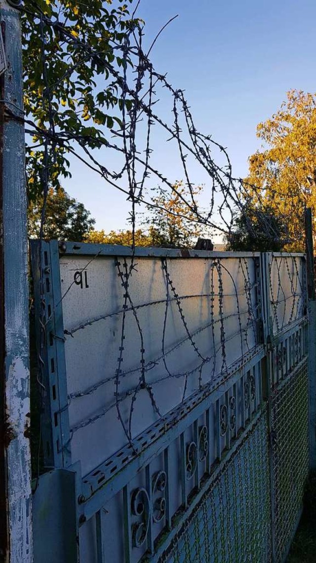 Stacheldraht umzunt manche Grundstck...heimer Galgenberg, was verboten ist.    | Foto: Christian Kramberg