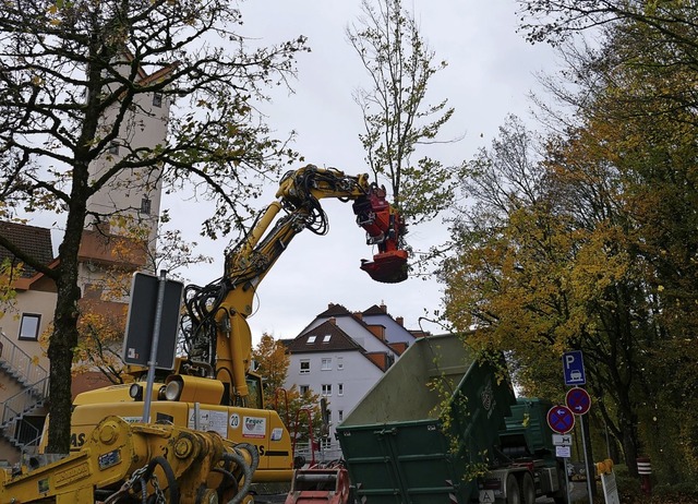 Ende Oktober hatten im Bereich Sgemat... der Elektrifizierung der Elztalbahn.   | Foto: Fabian Gehring