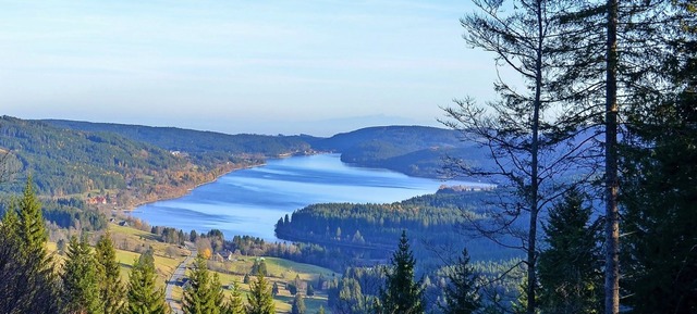 In der Nhe des  Schluchsees soll ein neues Hotel entstehen.  | Foto: Kathrin Blum