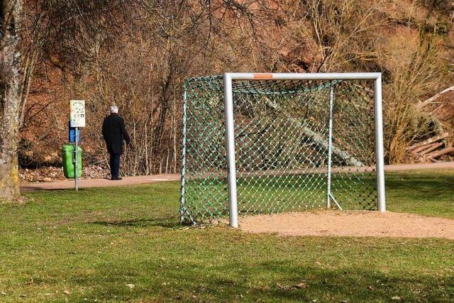 Eltern fordern einen Ballfang-Zaun am Wiesenweg