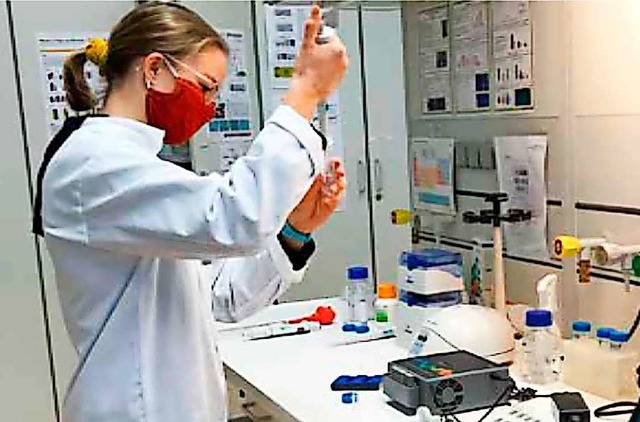 Teilnehmerin Paula Fischer experimenti...t Gemse, dass Vitamin C abbauen kann.  | Foto: Jugend forscht