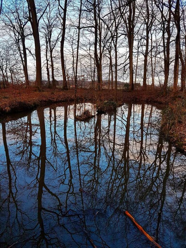 Im See spiegelt sich der Wald wieder.  | Foto: Jutta von Thlen-Hirsch