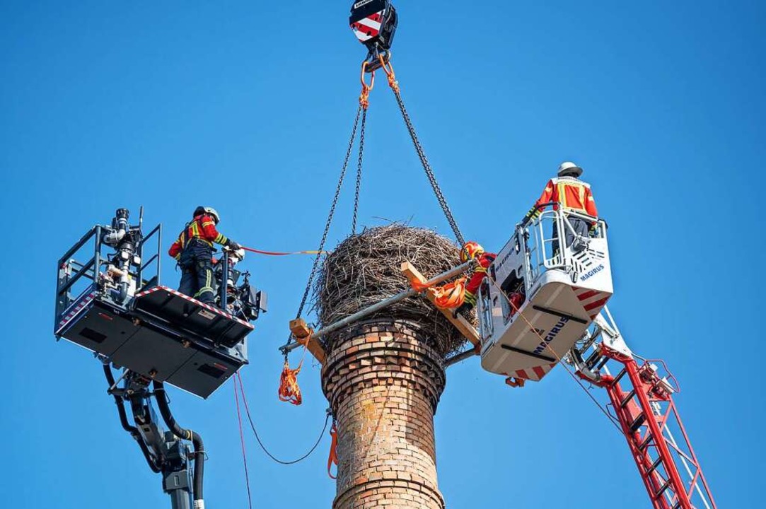 Zwei Stunden lang dauerte die Groaktion auf dem Mundenhof.  | Foto: Stadt Freiburg / Mundenhof