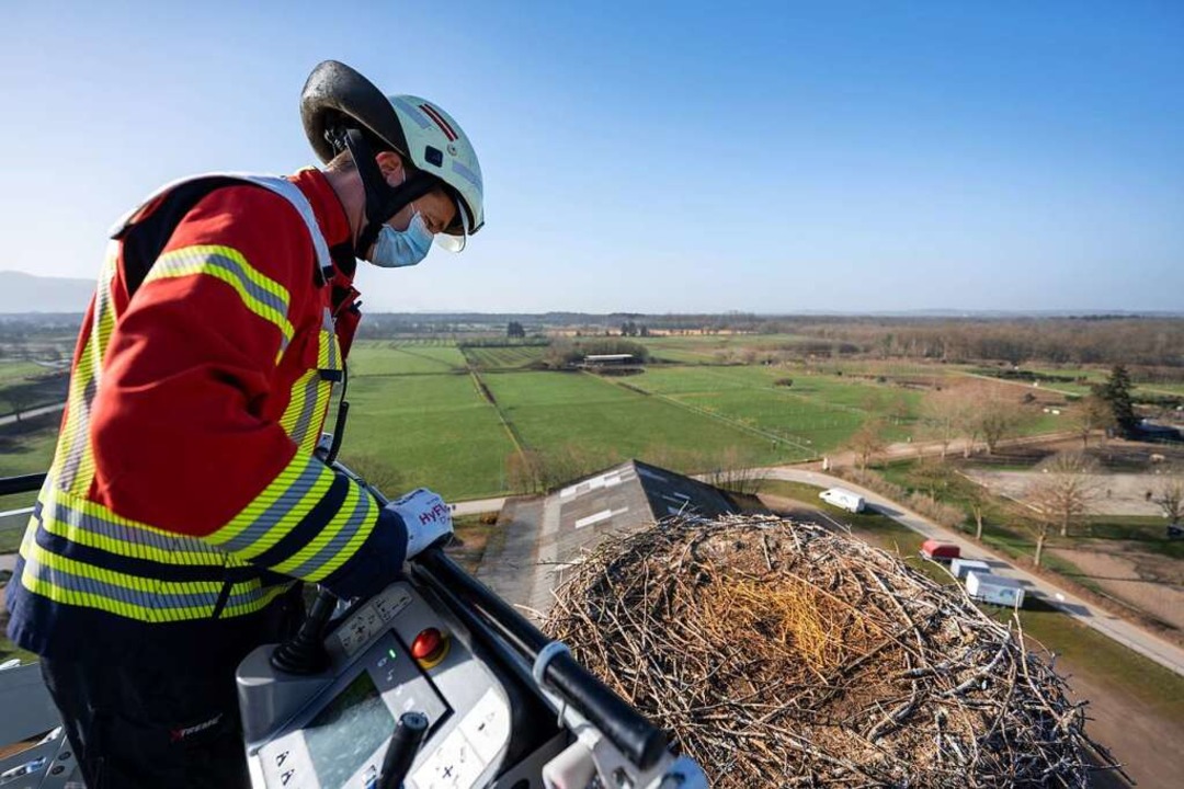 Absturzgefhrdet war das Storchennest ... Meter hohen Kamin auf dem Tiergehege.  | Foto: Stadt Freiburg / Mundenhof
