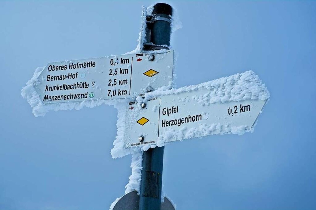 Kurz vor dem Ziel: Noch 200 Meter bis zum Gipfel des Herzogenhorns.  | Foto: Birgit-Cathrin Duval