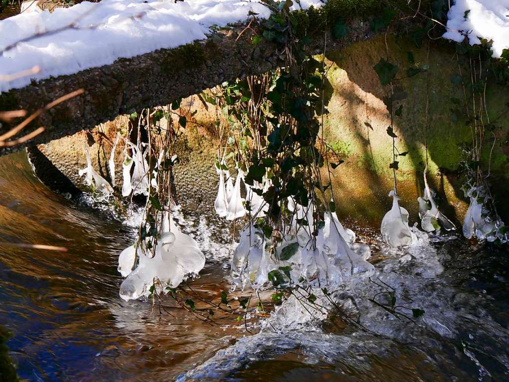 Bei Eis und Schnee bieten die hiesigen Gewsser jede Menge Motive, etwa hier am Bach vor dem Vrstetter Anglersee, aufgenommen von Anna-Dorothea Witte-Rotte.